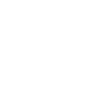 Double Par